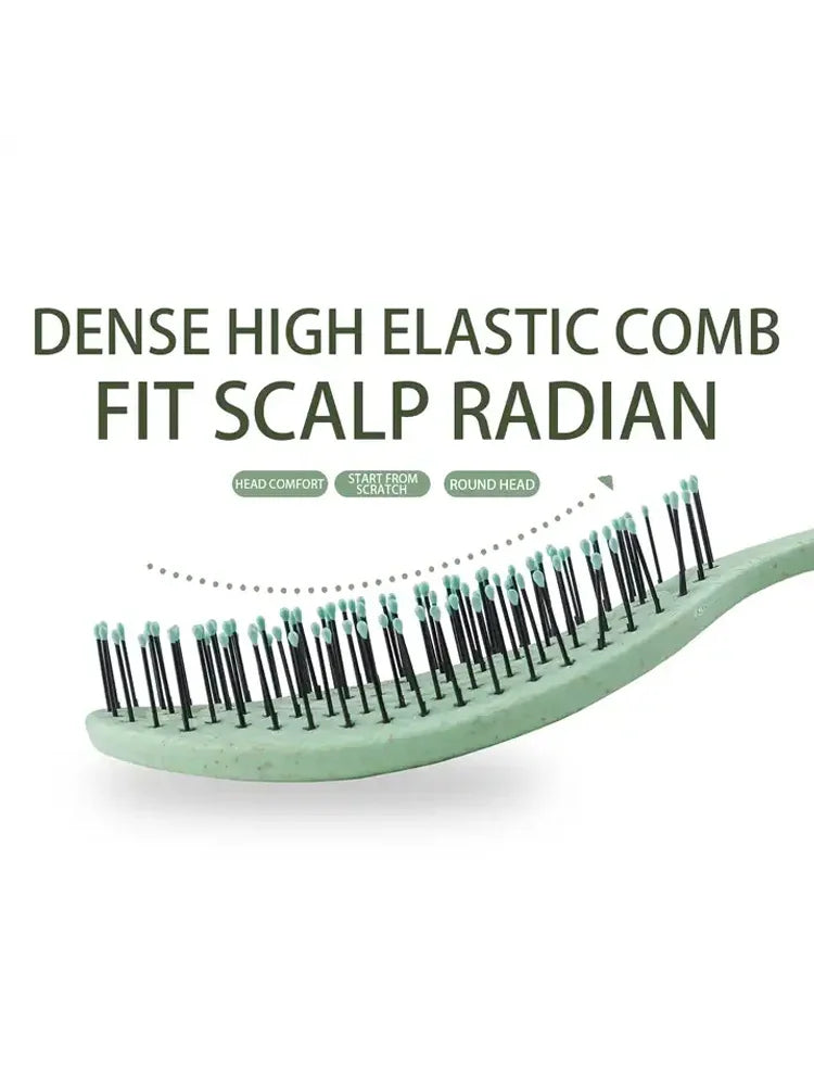 Hair Massage Comb Bristle Nylon Hairbrush Curly Detangle Hair Brush for Salon Hairdressing Tools Eagle Beacon