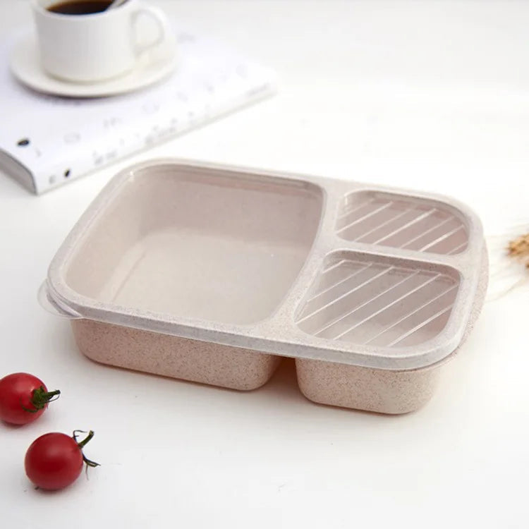 Wheat Straw Lunch Box Divided Into Compartments Insulated Lunch Box With Lid Square Lunch Box Portable Lunch Box Eagle Aerie