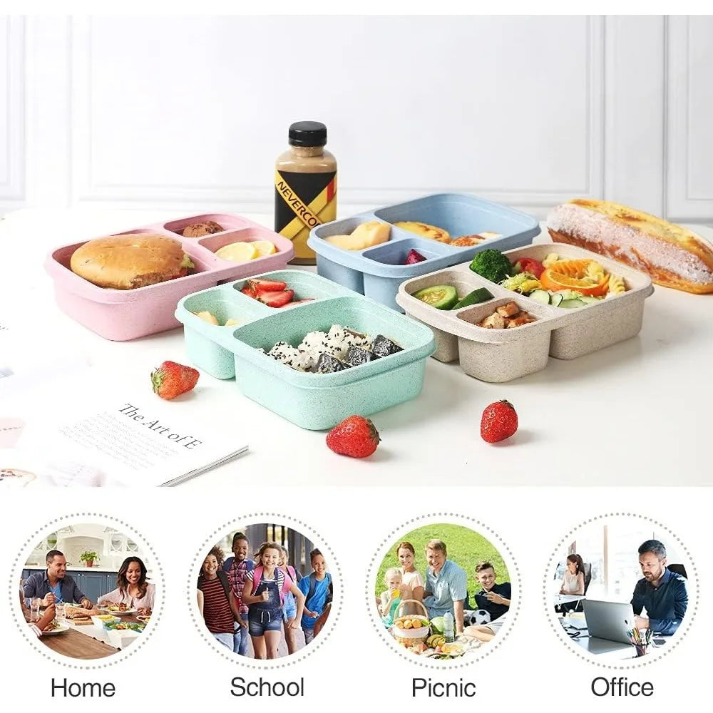 1 Bento Box Lunch Box for Kids and Adults Reusable Food Storage Container 3 Compartment Lunch Box for School Work and Travel Eagle Aerie