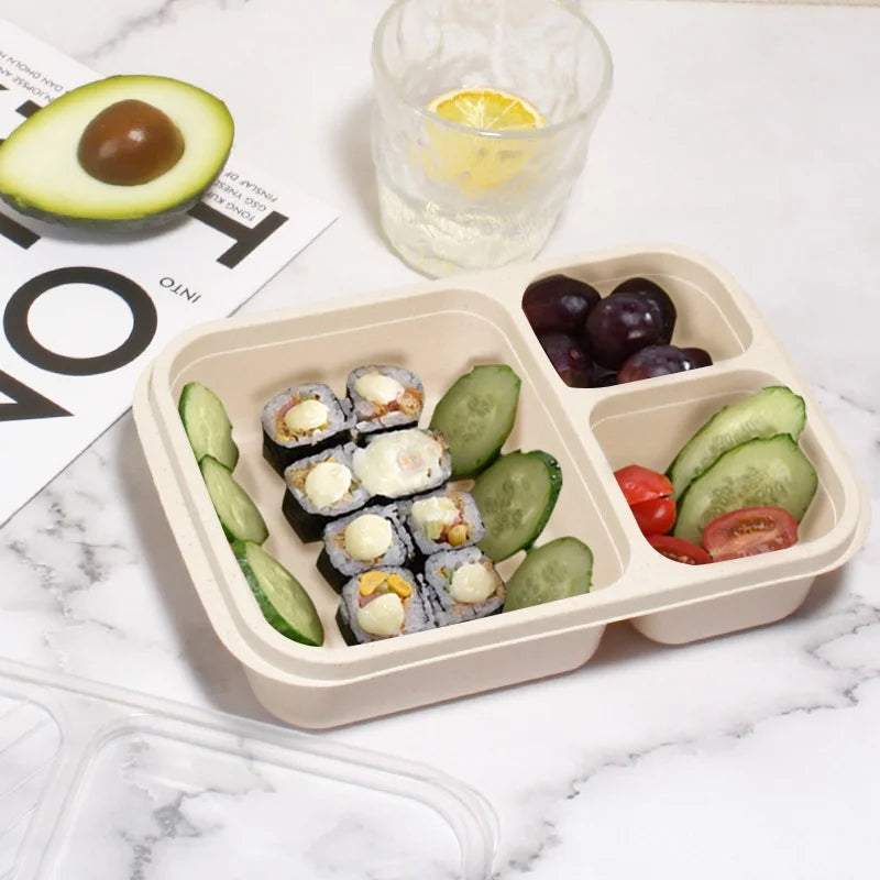 Wheat Straw Lunch Box Divided Into Compartments Insulated Lunch Box With Lid Square Lunch Box Portable Lunch Box Eagle Aerie