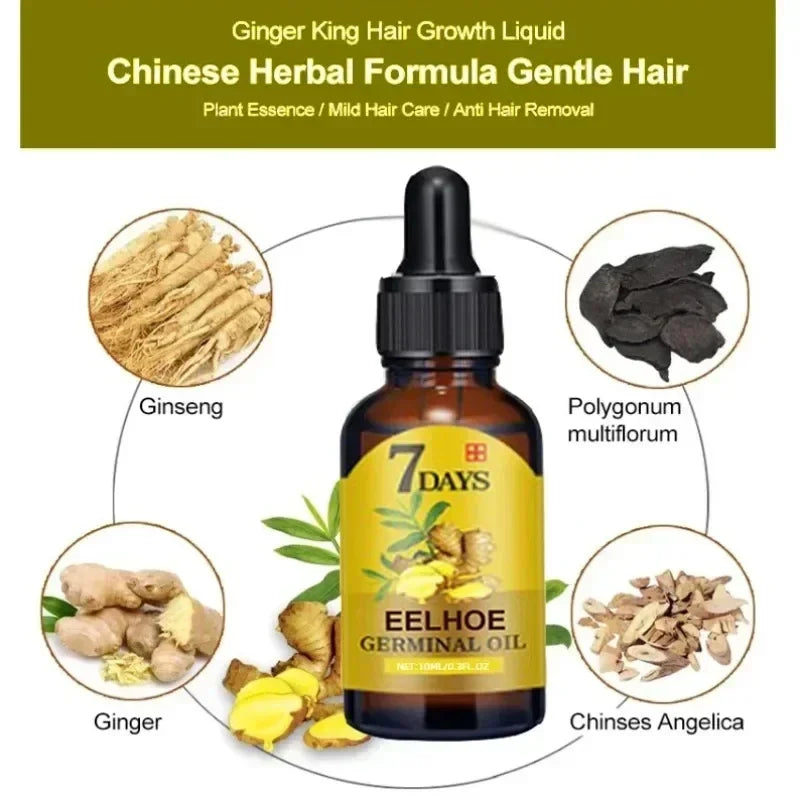 7 Day Fast Hair Growth Oil Ginger Growth Hair Treatment Anti Hair Loss Men Women Scalp Treatment Serum Products Beauty Product Eagle Beacon
