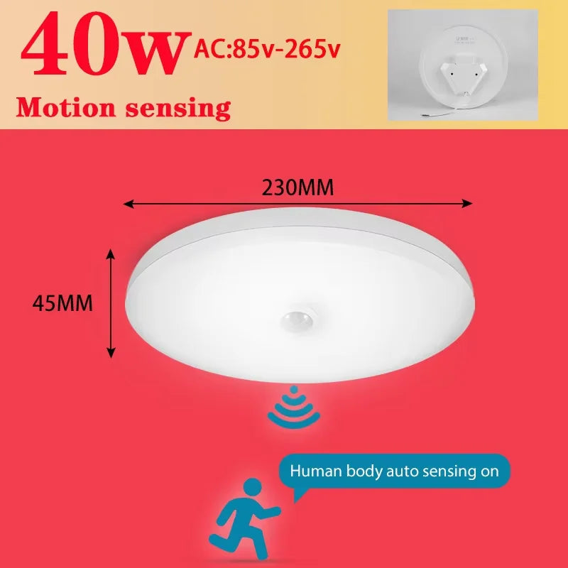 Motion Sensor Ceiling Light Modern Smart Sensor LED Lamp Human Infrared Sensing Lamp Indoor for Garage Corridor Lighting Fixture Eagle Beacon