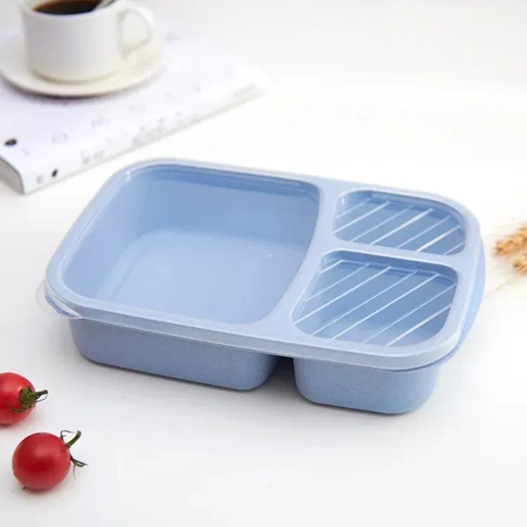 Wheat Straw Lunch Box Divided Into Compartments Insulated Lunch Box With Lid Square Lunch Box Portable Lunch Box Eagle Aerie