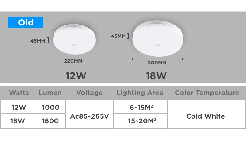 Motion Sensor Ceiling Light Modern Smart Sensor LED Lamp Human Infrared Sensing Lamp Indoor for Garage Corridor Lighting Fixture Eagle Beacon