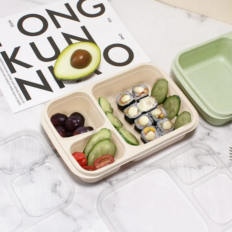 Wheat Straw Lunch Box Divided Into Compartments Insulated Lunch Box With Lid Square Lunch Box Portable Lunch Box Eagle Aerie