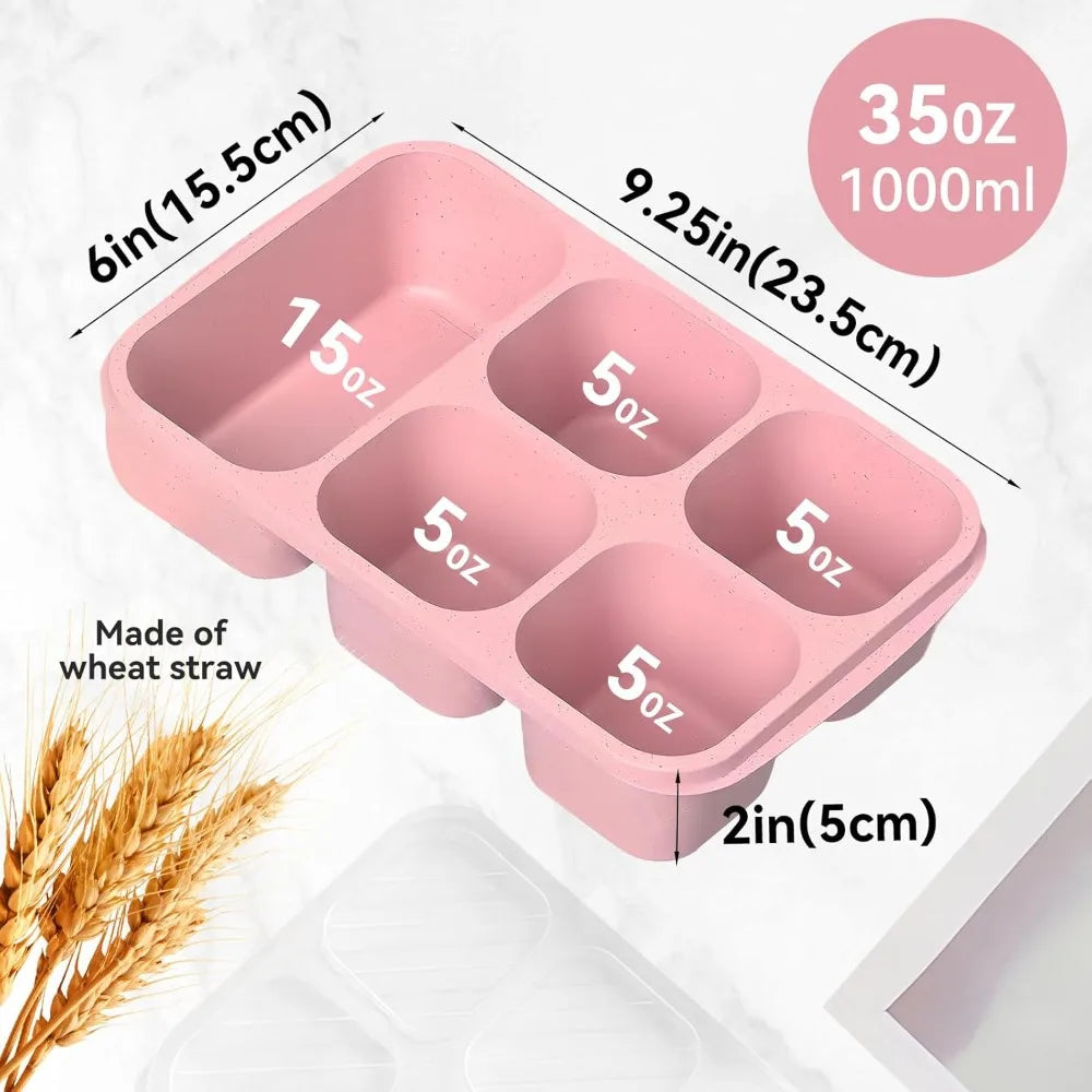 Bento Lunch Box with Reusable 5 Compartment Bento Box Microwave Compatible for Bento Snack Containers for Travel and Work Eagle Aerie