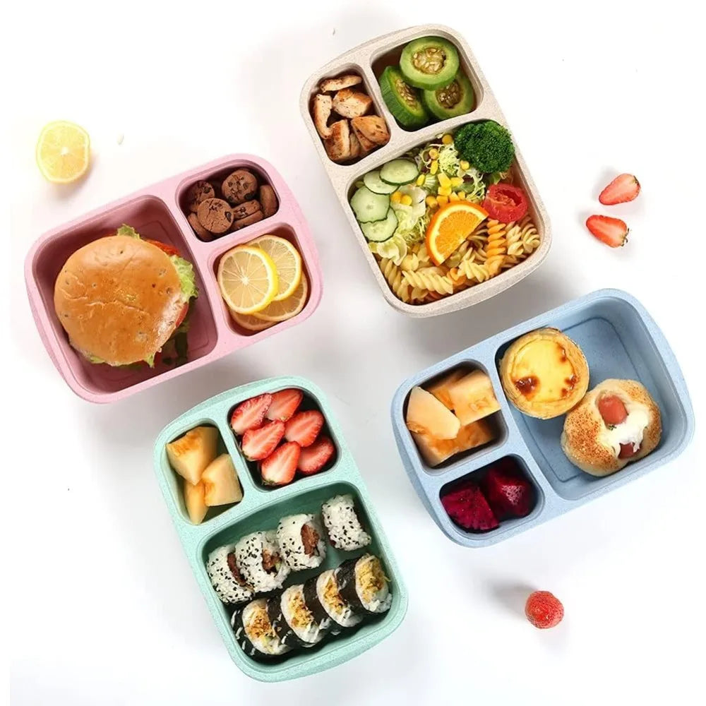 1 Bento Box Lunch Box for Kids and Adults Reusable Food Storage Container 3 Compartment Lunch Box for School Work and Travel Eagle Aerie