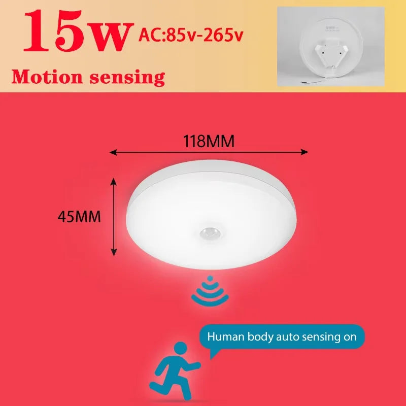 Motion Sensor Ceiling Light Modern Smart Sensor LED Lamp Human Infrared Sensing Lamp Indoor for Garage Corridor Lighting Fixture Eagle Beacon