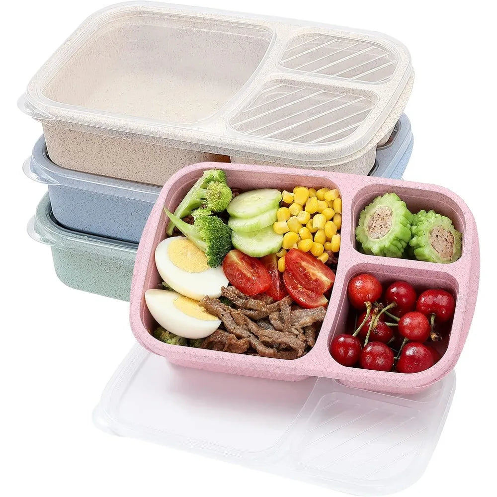 1 Bento Box Lunch Box for Kids and Adults Reusable Food Storage Container 3 Compartment Lunch Box for School Work and Travel Eagle Aerie