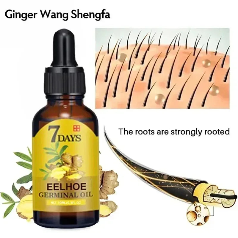 7 Day Fast Hair Growth Oil Ginger Growth Hair Treatment Anti Hair Loss Men Women Scalp Treatment Serum Products Beauty Product Eagle Beacon